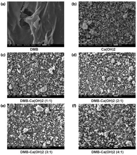 Physicochemical Properties of Demineralized Bone Matrix and Calcium ...