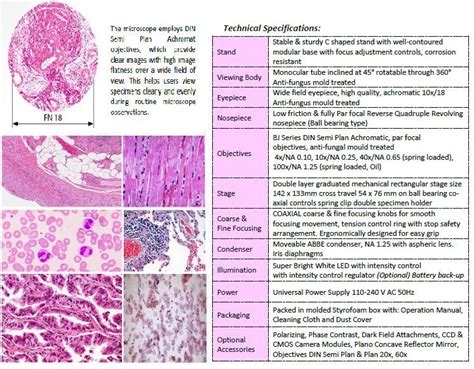 Image result for Monocular Compound Microscope