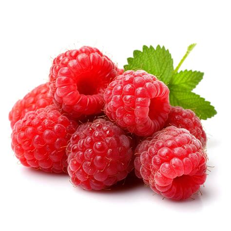 Image result for Raspberry Pi OS Lite Ffplay