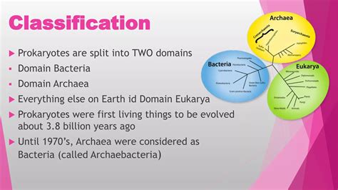Image result for Course Prokaryotes