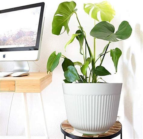 TechBlaze 12 Inch Big Size Gamla Plastic Flower Pot Gamla for Garden ...