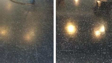 How to Degrease a Floor 的图像结果