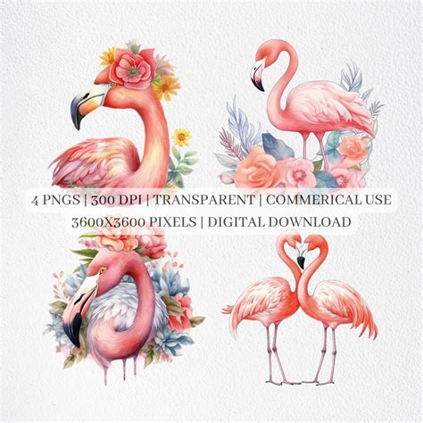 Floral Flamingo Clipart, Flamingo PNG Files for Sublimation, Flamingos ...