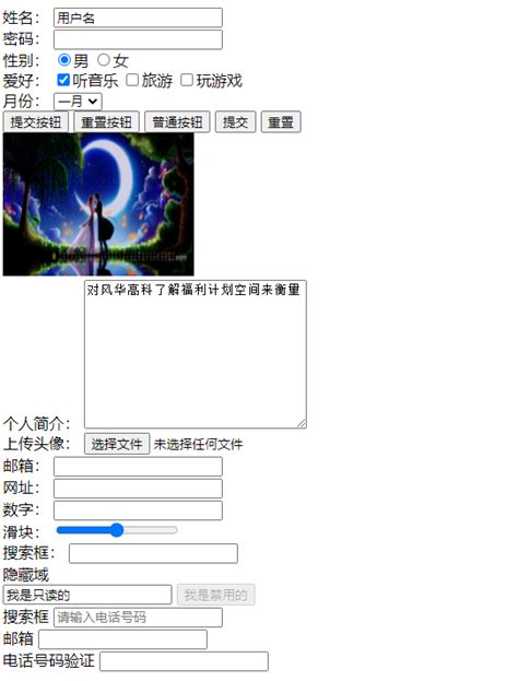 HtmlForm 的图像结果