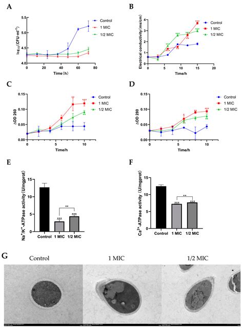 New Polyene Macrolide Compounds from Mangrove-Derived Strain ...