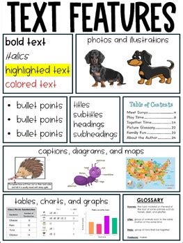 Image result for Text Features Anchor Chart
