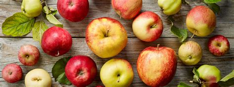 Different Types of Apples - types of apples