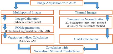 Multispectral, Thermal, and Hyperspectral Sensing Data Depict Stomatal ...