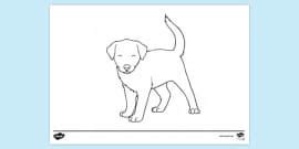 Colouring Sheet | Colouring Sheets (teacher made) - Twinkl