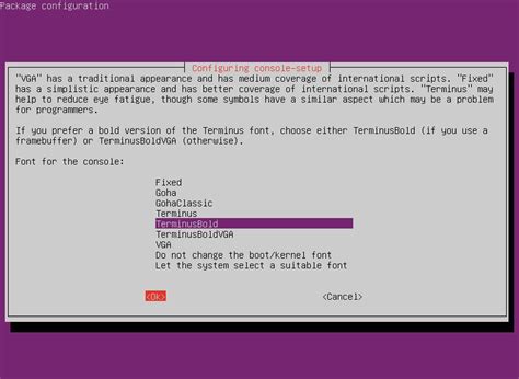 Image result for Linux Console Customization