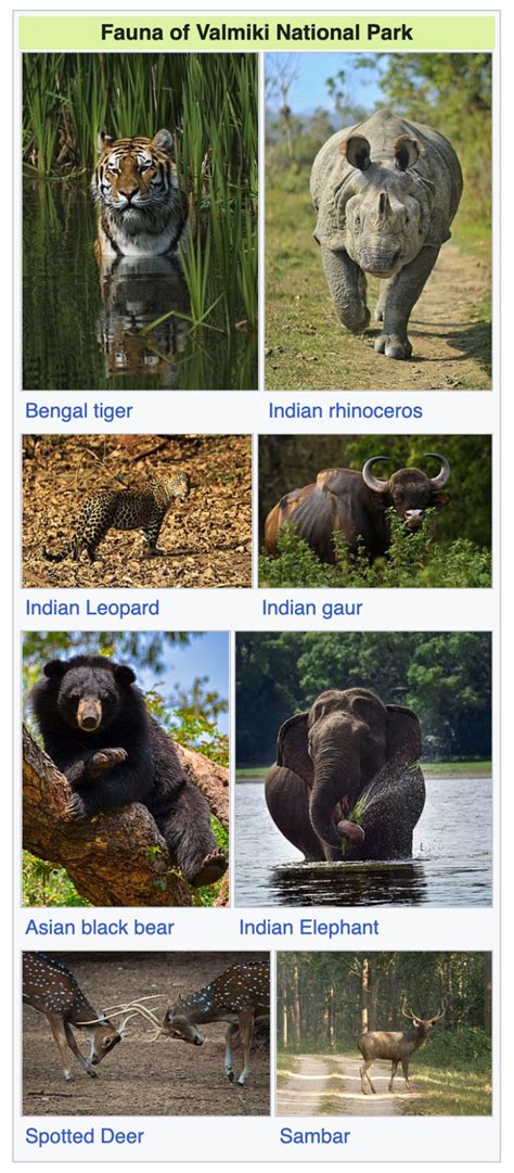 Image result for Spring Bean Life Cycle in Java
