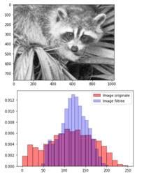 Traitement D'image Avec Python 的图像结果
