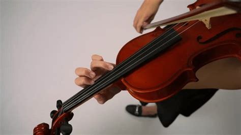 Violin 的图像结果