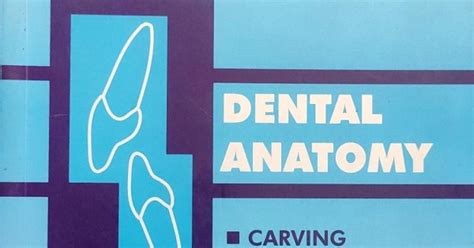 Dental Anatomy 2nd Edition by AT Biviji