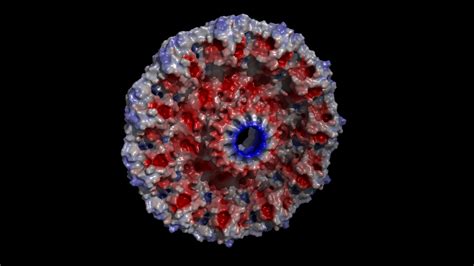 Image result for PyMOL Ray Tracing
