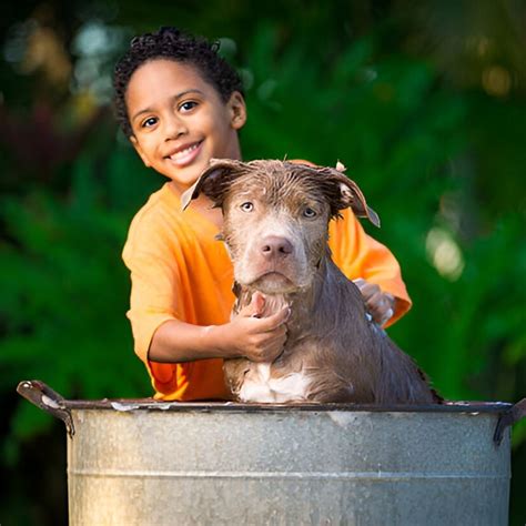 Installation Costs for Salt-Free Water Softeners 🇺🇸 monthyear