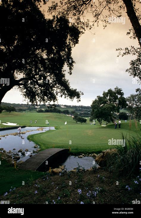 Golfing 的图像结果