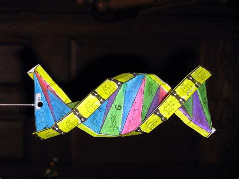 Image result for DNA Origami Applications