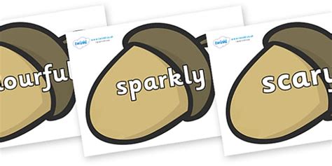 Wow Words on Brown Acorns (teacher made) - Twinkl