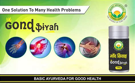 Basic Ayurveda Gond Siyah – 100g | Plant-Based Ayurvedic Remedy for ...