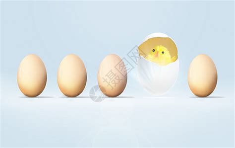 所有鸡蛋都受精了吗？敲开鸡蛋会吃到小鸡仔吗？_手机新浪网