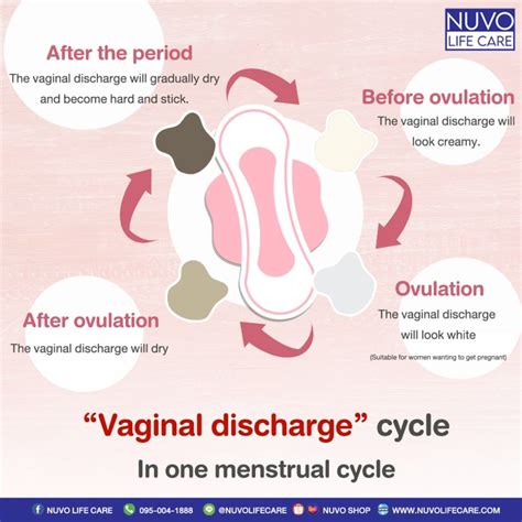 Mucus Discharge Before Menstrual Cycle Types Of Vaginal Discharge: