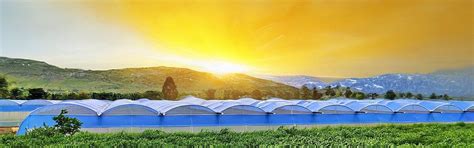 Greenhouse Solutions – Agriplast Tech India