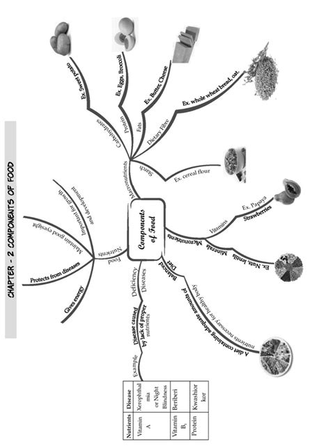 Science Components of Food 的图像结果