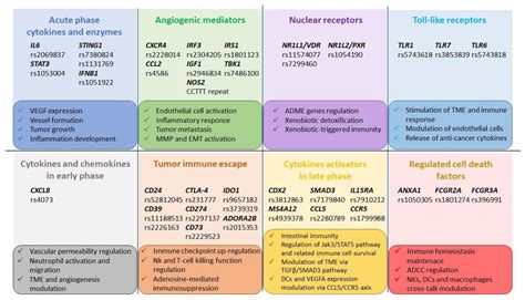 Pharmacogenetics Role of Genetic Variants in Immune-Related Factors: A ...