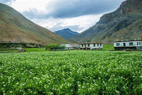 10 Stunning Places to Visit Near Pin Valley