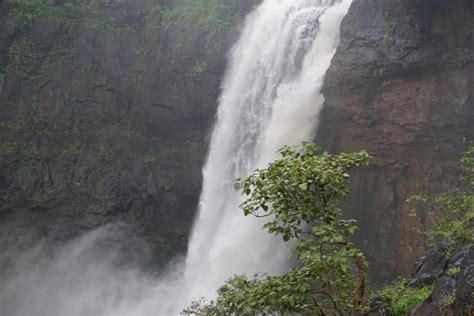 Palghar District Tourism (2024): All You Need to Know Before You Go