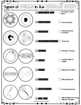 Image result for Appendix Statement Example