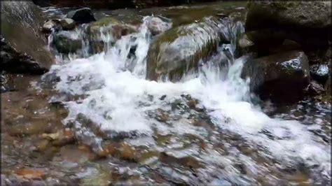 Image result for Water Stream Relaxation