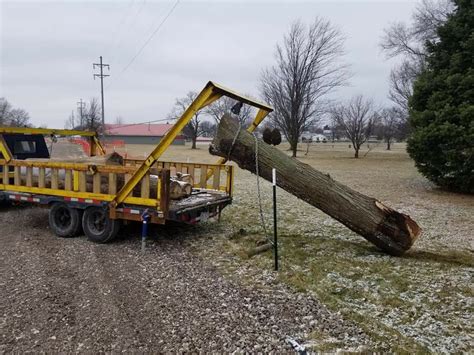 Image result for Logging Arch DIY