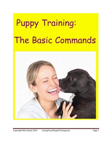Basic Commands 的图像结果