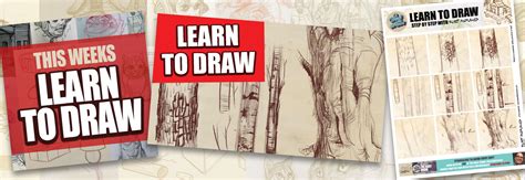 Image result for Tree Bark Simple Drawing