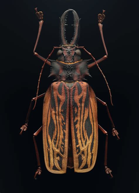 Image result for Extinct Insects