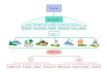 Free Study Of Religion Mind Map Templates