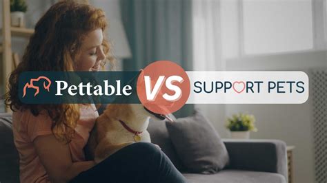Pettable vs Support Pets: How Do We Compare?