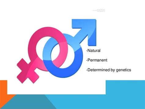Image result for Mainstreaming Gender Report Cover