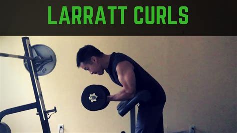Image result for Larray Curls