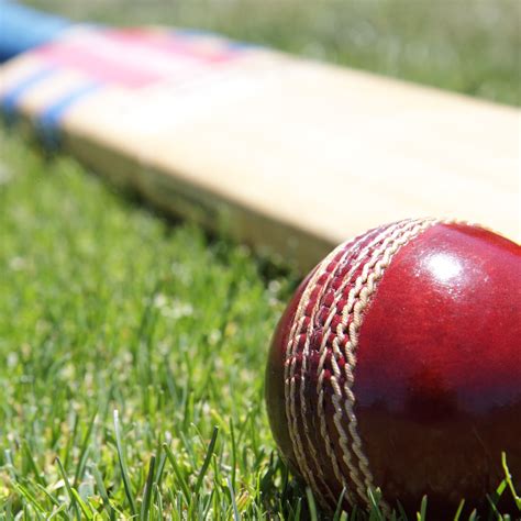 Cricket Bats & Balls – Edsports NZ