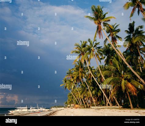 Alona Beach at sunrise Panglao Island Bohol Philippines Stock Photo - Alamy