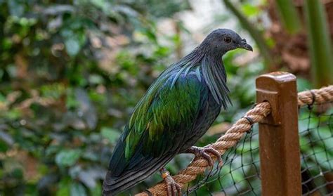 Port Blair in December 2025: Top 10 Things to Do & Traveller Guide