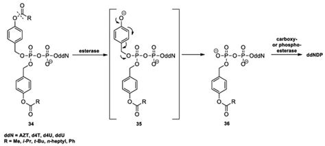 Applied Sciences | Special Issue : Applications of Nucleic Acids in ...