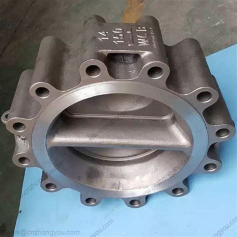 Image result for Spring Loaded Lug Check Valve