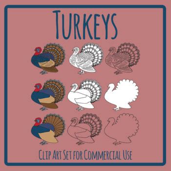 Turkeys - Thanksgiving Farm Animals / Birds Clip Art / Clipart | TPT