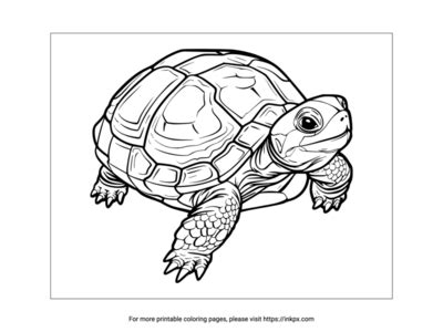 Image result for Turtle with Gun Coloring Pages Printable