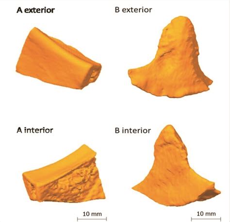 Biofunctional Glycol-Modified Polyethylene Terephthalate and ...