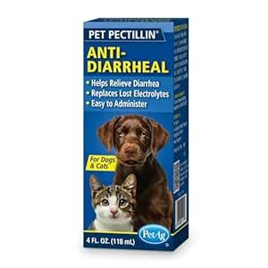 Lambert Kay Pet Pectillin Diarrhea Medication for Dogs and Cats, 4 ...